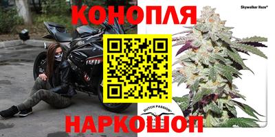 скорость Будённовск