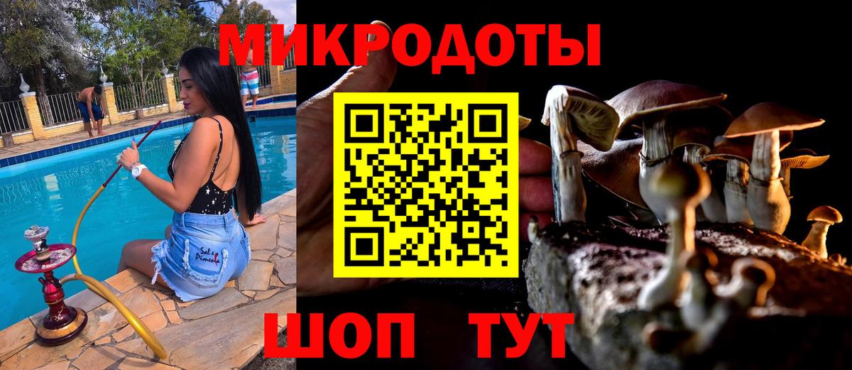 Псилоцибиновые грибы Psilocybe  Вход с VPN  Мценск 
